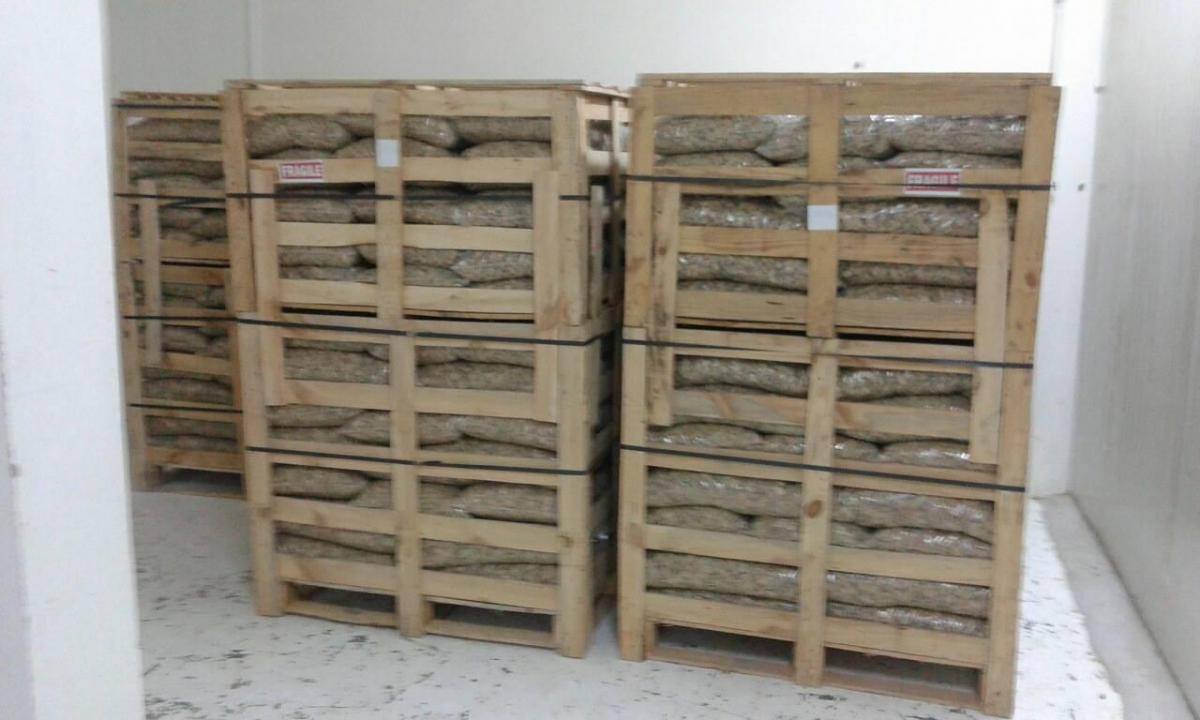 Preview Image 11