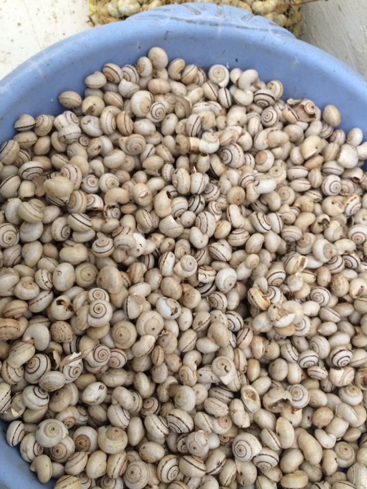 Preview Image 11