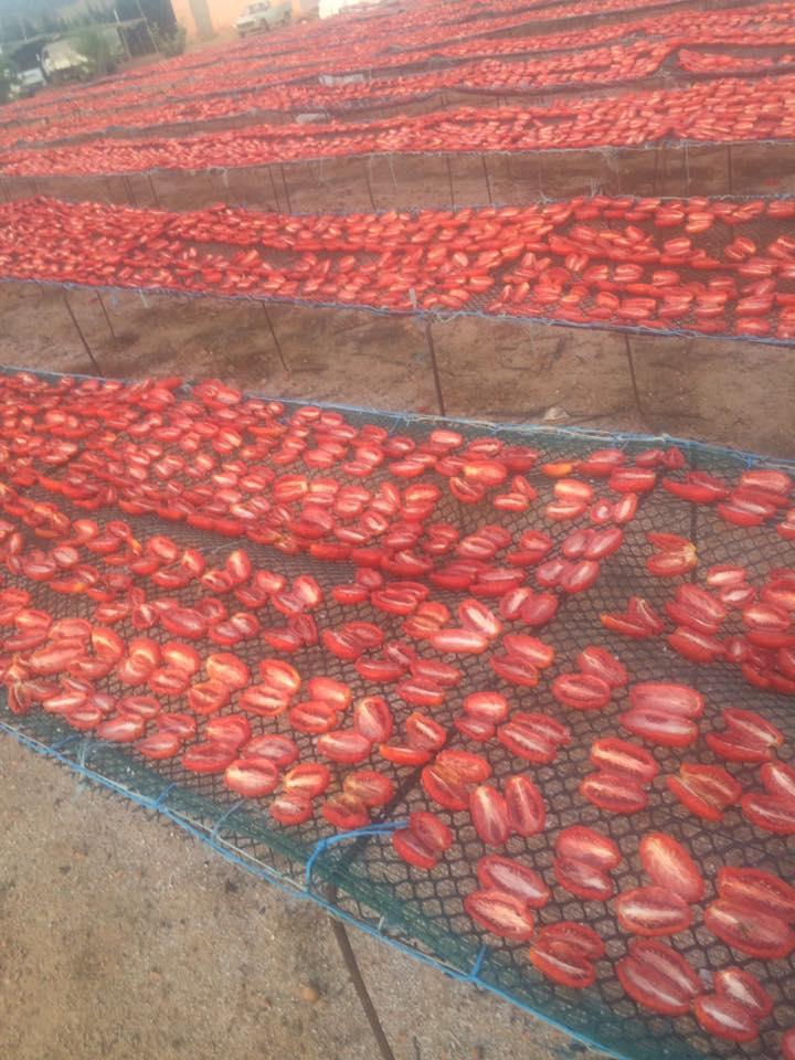 Preview Image 11